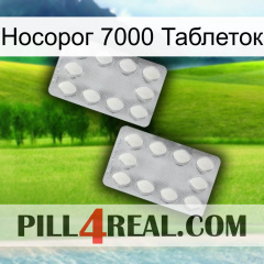 Носорог 7000 Таблеток 17